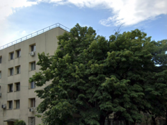 Stefan cel Mare, Lacul Tei, Parc Circului, 5 min. metrou Stefan cel Mare