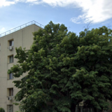 Stefan cel Mare, Lacul Tei, Parc Circului, 5 min. metrou Stefan cel Mare